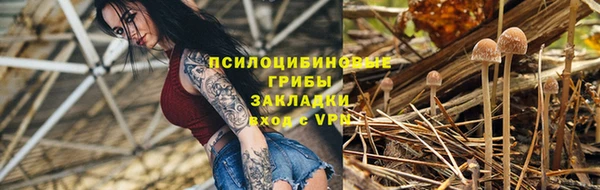 spice Зеленодольск