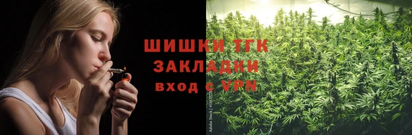 стафф Зеленокумск